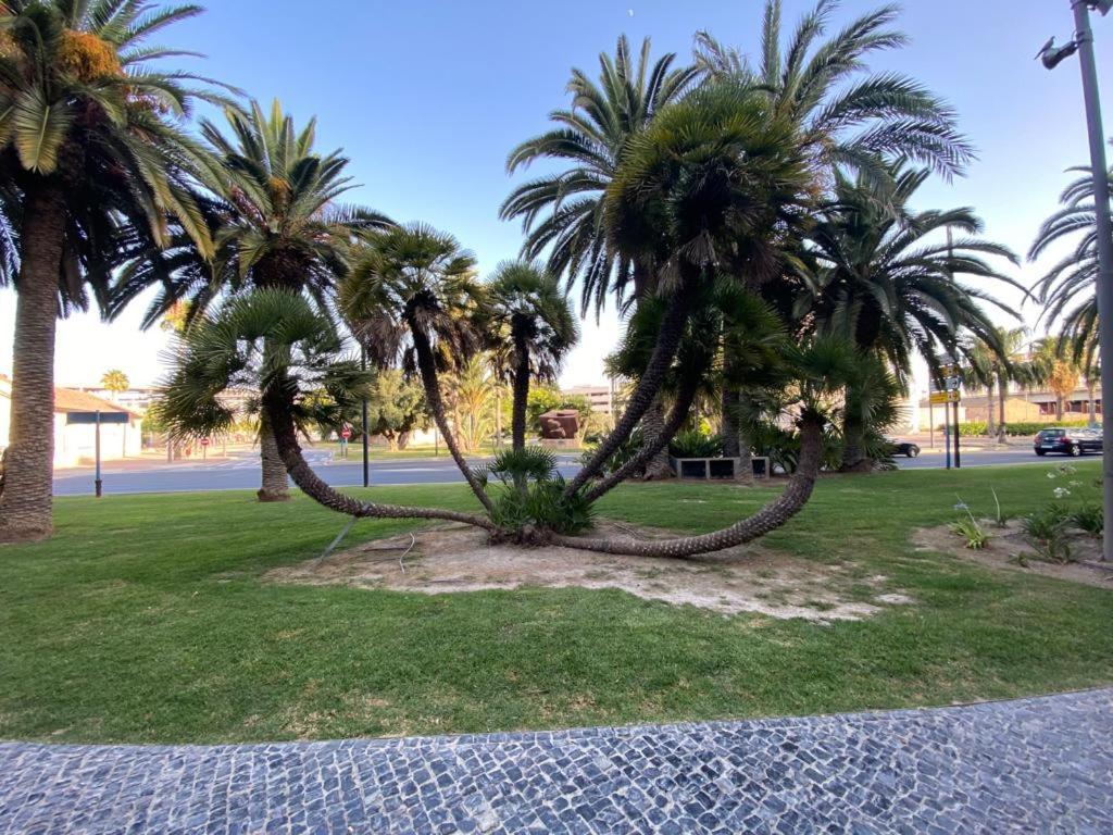 Apartamento Tropical Loft Alicante Exterior foto